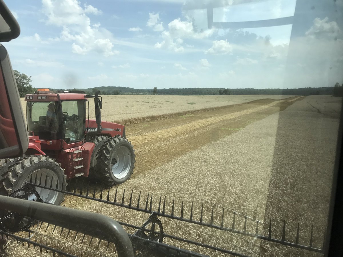jrtorry's tweet photo. @DuPontPioneer Markdale,ON
25R40 100.9bu/13.1%,       25R46 95.6bu/14.2%,          25R34 89.7bu/13.4%  well above local averages https://t.co/0M3f9Ba85v
