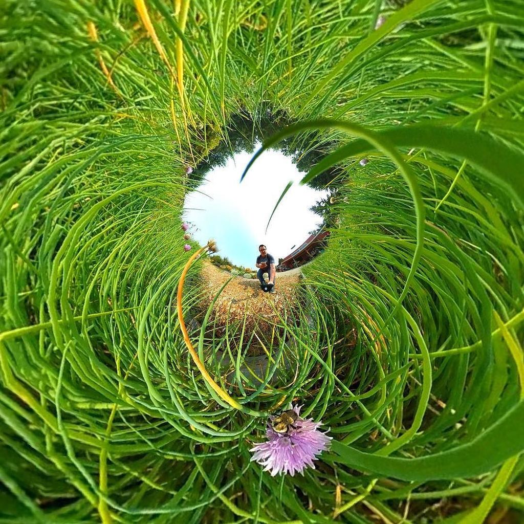 RickMacMerc's tweet photo. 🐝🐝🐝 #theta360 #tinyplanet #theta #tinyplanetbuff #360camera #littleplanet #tinyplanets #tinyplanetspro #photosphere #360panorama #panorama3… https://t.co/avWvEohcMH