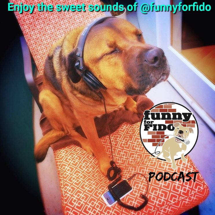 FunnyForFido's tweet photo. All things dog from training &amp; nutrition tips to rescue stories. Download it  on iTunes &amp; everywhere else - https://t.co/lrIWl7RyRz https://t.co/WkgnVwrEtO