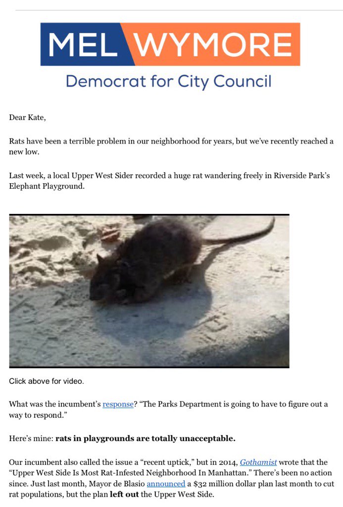 katetaylornyt's tweet photo. UWS City Council candidate raises alarm over rats on playgrounds. Accuses incumbent of being soft on rodent-killing https://t.co/CJJqRakORU
