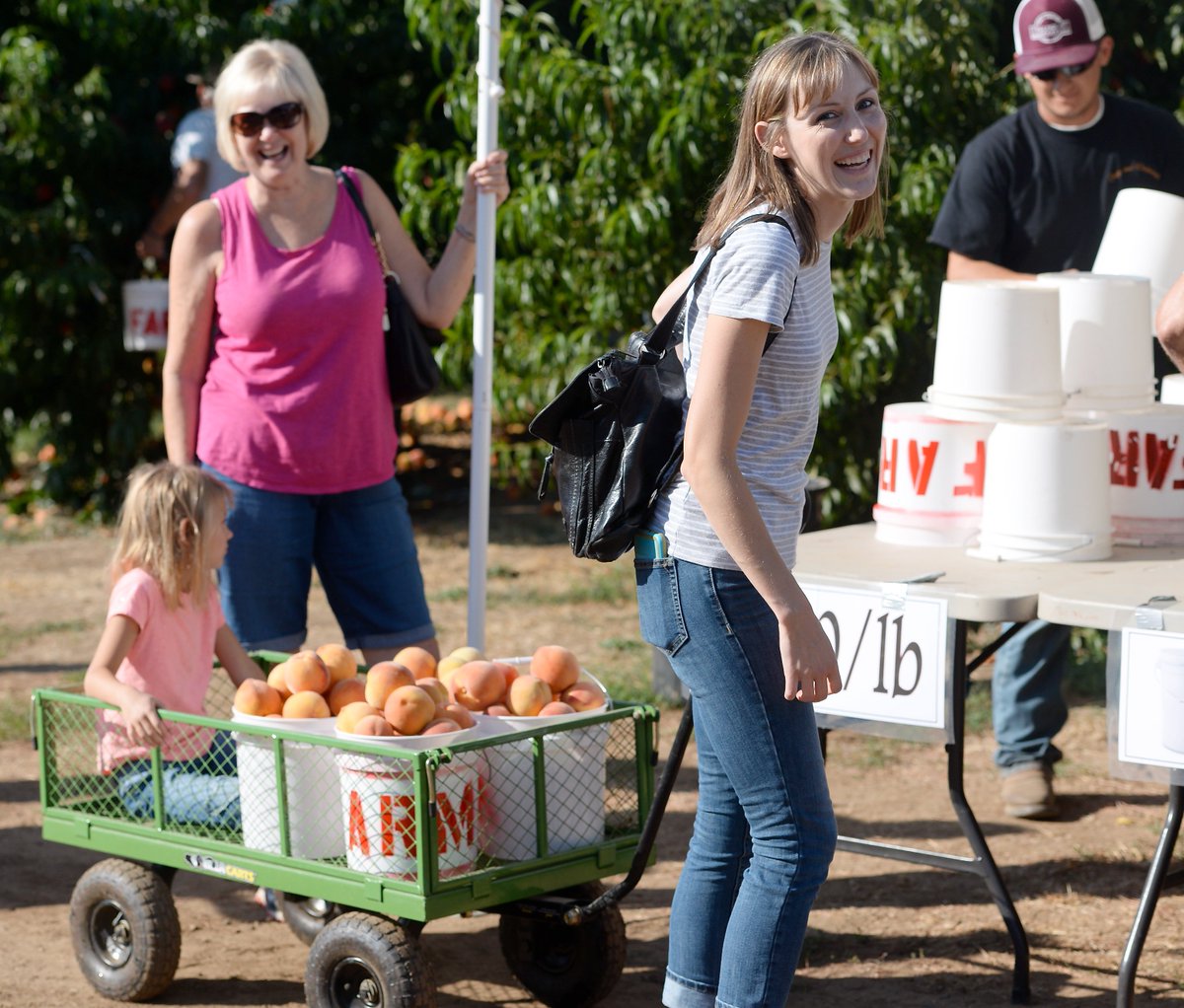 billhusa1's tweet photo. #CSUC #UniversityFarm #Peach #U-Pick Peaches https://t.co/iCiz6DLgFG https://t.co/mi1eGIBTft