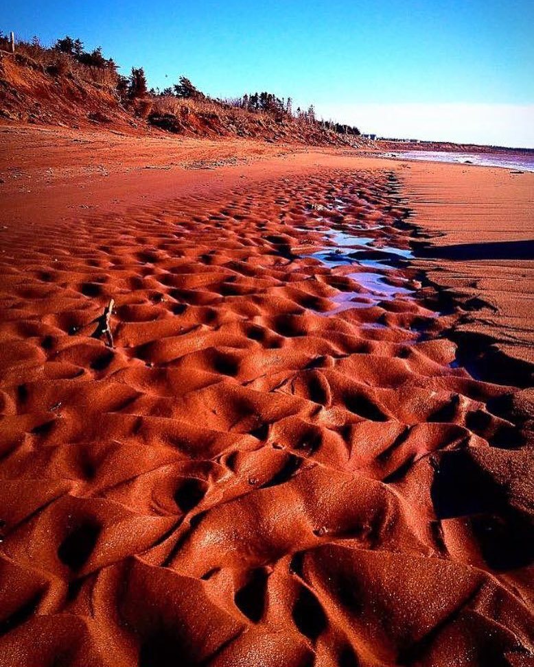 gidsel Planet pølse CBC P.E.I. on Twitter: "The iconic red sand at Miminegash beach in #PEI.  Submitted by Kim Gallant via CBC PEI's Facebook page. #summer #sa…  https://t.co/1wastXoZw5 https://t.co/6n73XrxLNu" / Twitter