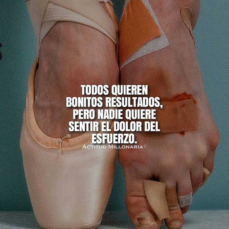 LCNetwork_'s tweet image. 