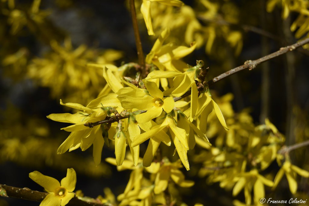 Le Grotte di Pastena (Frosinone): ritorno alle origini iviaggidifra.wordpress.com/2017/08/10/le-…