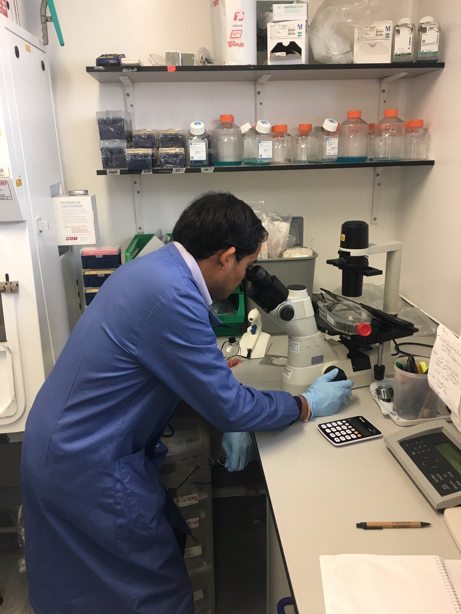 beearc1's tweet photo. Excellent day @BDC_org exploring their many capabilities for developing bio-based products and talking #propolis #research https://t.co/GJXatvJdQL