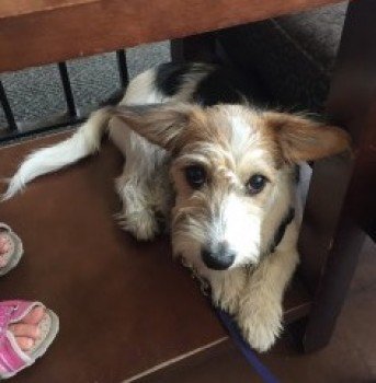 chris towers tweet media