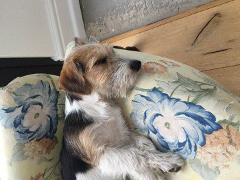 chris towers tweet media