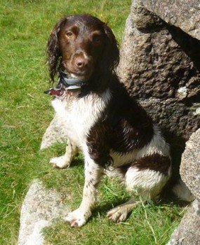 chris towers tweet media