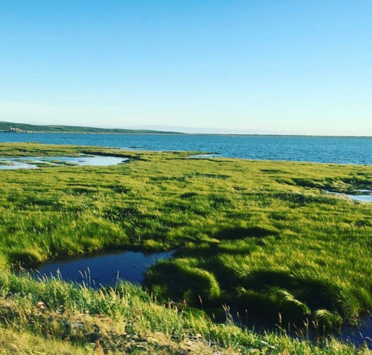 MissBeachy's tweet photo. Just your average view on the walk to school 😏 https://t.co/4yuwwmVblj