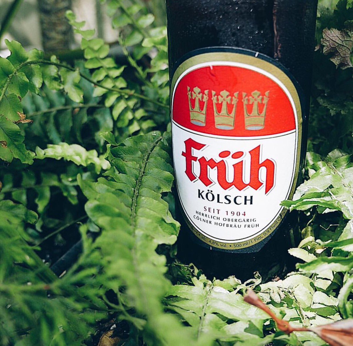 LowBrau 🍻🌭 tweet media