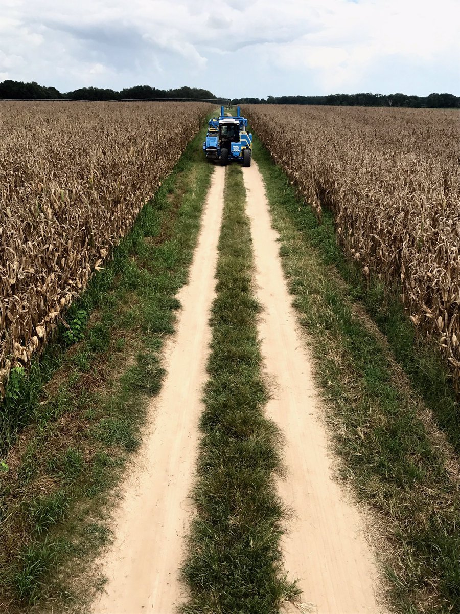 FireFlyRobotics's tweet photo. John Clarke at Donalsonville Sod Farms taking her to the barn after a hard day's work. #ProSlab155 https://t.co/dGyUFSUYtN