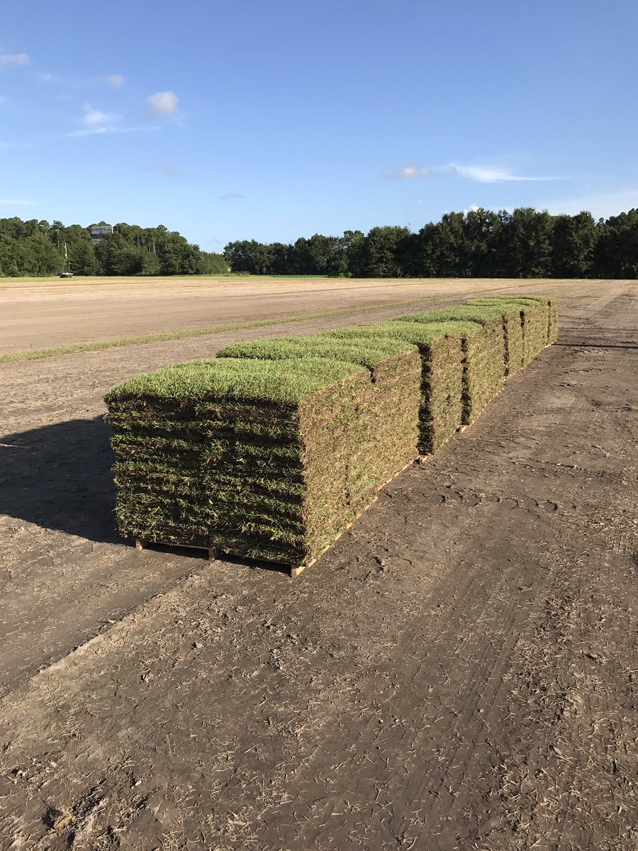 FireFlyRobotics's tweet photo. Centipede pallets don't get much prettier than when a FireFly stacks them. Thanks to the boys @ Riebeling Farms! #ProSlab155 #perfectpallets https://t.co/1vHPFf7QPM