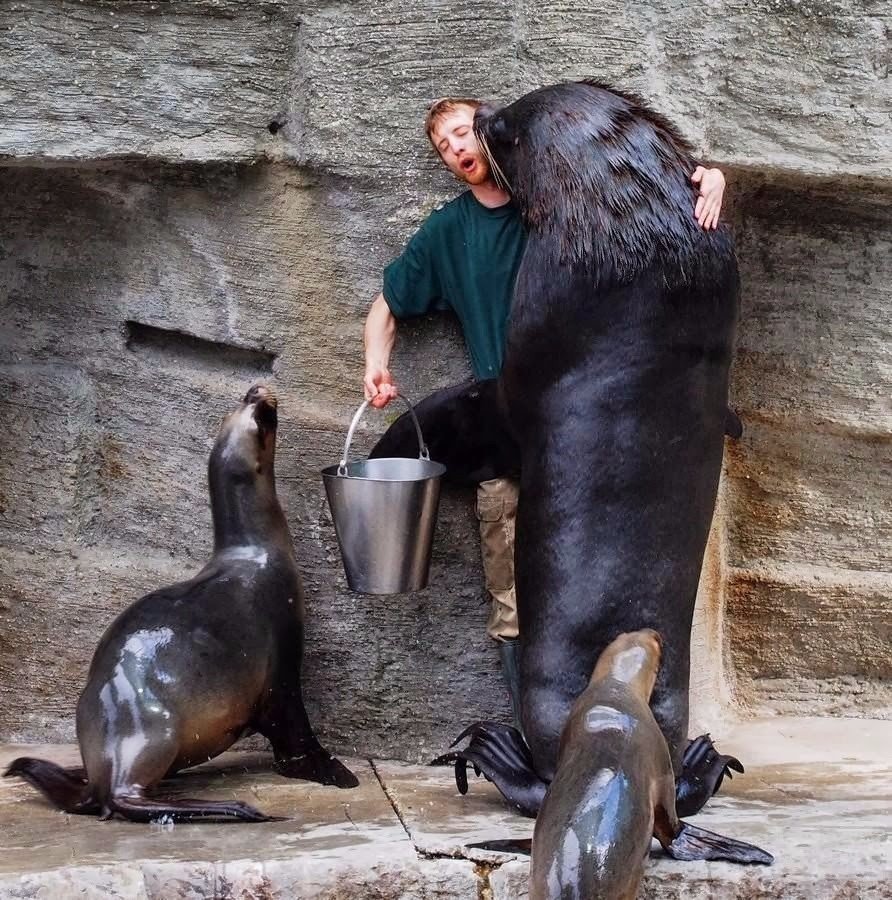 ★ MVK (@knya3e8) on Twitter photo 