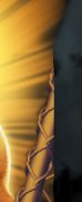 superzomgbbq's tweet photo. Next Piece unlocked. Thank you to the new subs! #ZOLIEVE
Another piece @ 1 VIP Sub? Whad'ya say? ;O #WWESuperCard
https://t.co/i4z9oxbXSo https://t.co/g8WiVlzZ0B