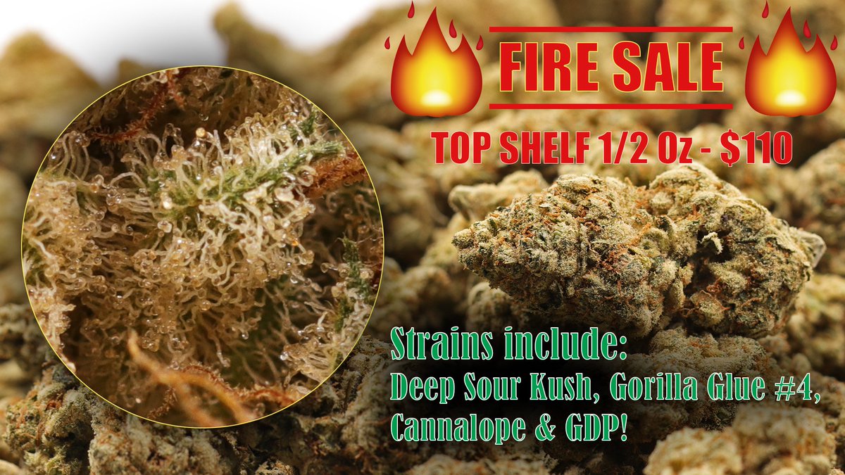 HazeDispensary's tweet photo. TOP SHELF 1/2 OZ SPECIAL!
#topshelflife #hazedispensary #sanjose
#sj420 #terps https://t.co/mEvwYdQd01