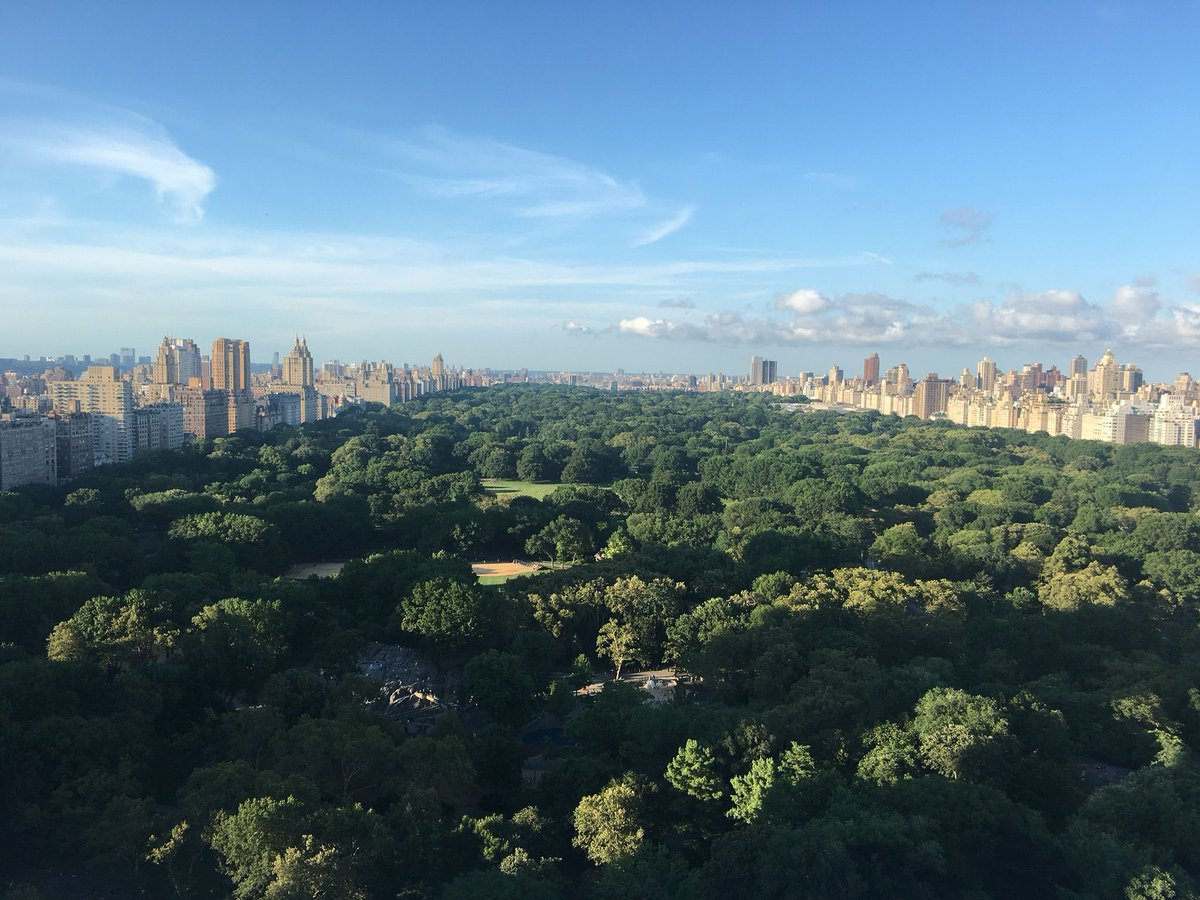 Collectrium's tweet photo. Enjoy the beautiful Central Park day in NYC. #nyc #newyork #bigapple #centralpark #collectrium #beautifulscene https://t.co/5oDlWUoK1N