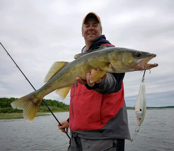 The best #walleye #fishing around is right here at #PashaLake! Thanks to In-Depth Outdoors for tagging us in the pic!  #gonefishing