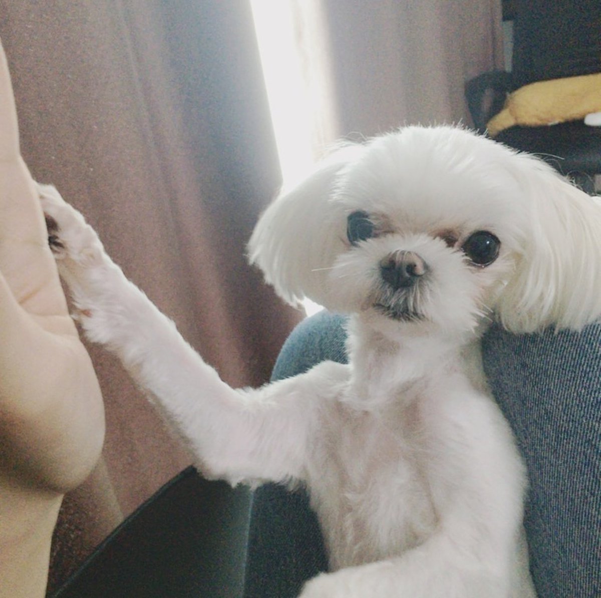jjaeholic's tweet photo. Çak bir pati. ㅋㅋㅋㅋㅋㅋㅋㅋㅋㅋㅋㅋㅋ https://t.co/7oon4HzG14