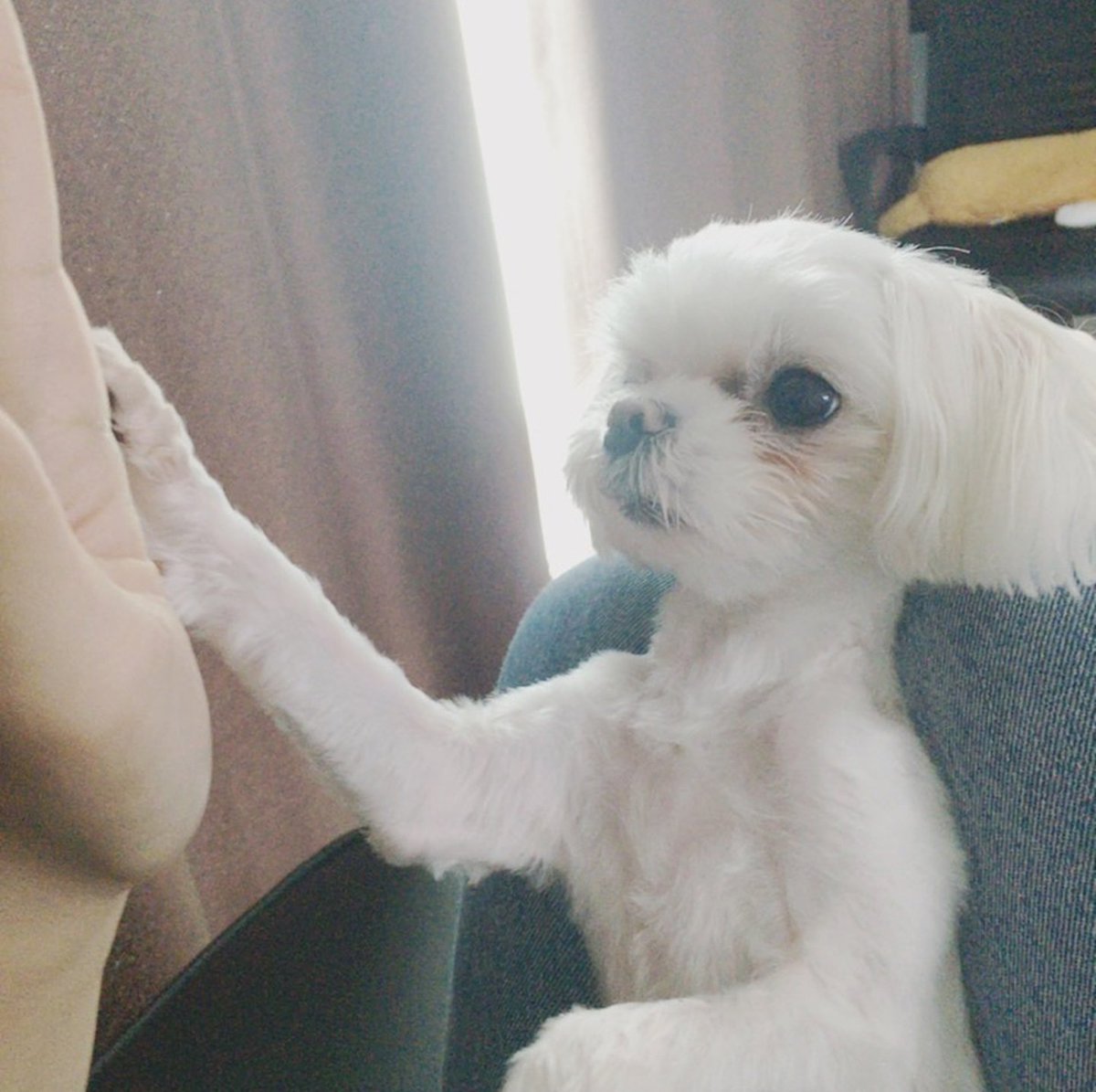 jjaeholic's tweet photo. Çak bir pati. ㅋㅋㅋㅋㅋㅋㅋㅋㅋㅋㅋㅋㅋ https://t.co/7oon4HzG14
