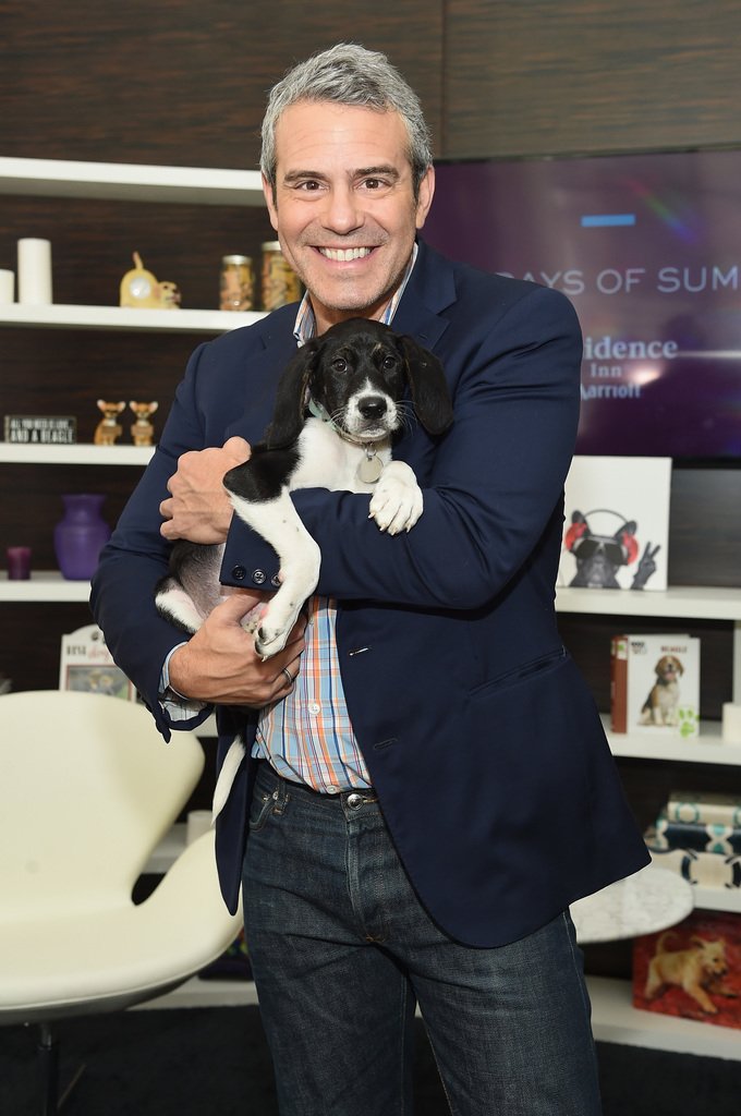 CNTraveler's tweet photo. We sat down with @Andy for an epic puppy event! Check it all out on our Snapchat account by following us at 'CNTraveler' #RIDogDaysOfSummer https://t.co/0XXHOraf9u