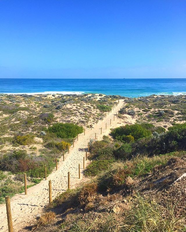 Australia's tweet photo. Here's a taste of what the beaches look like in @experienceperth - not bad, right?! (via IG/nat.hampo in @WestAustralia) https://t.co/pjBhb6M2XN