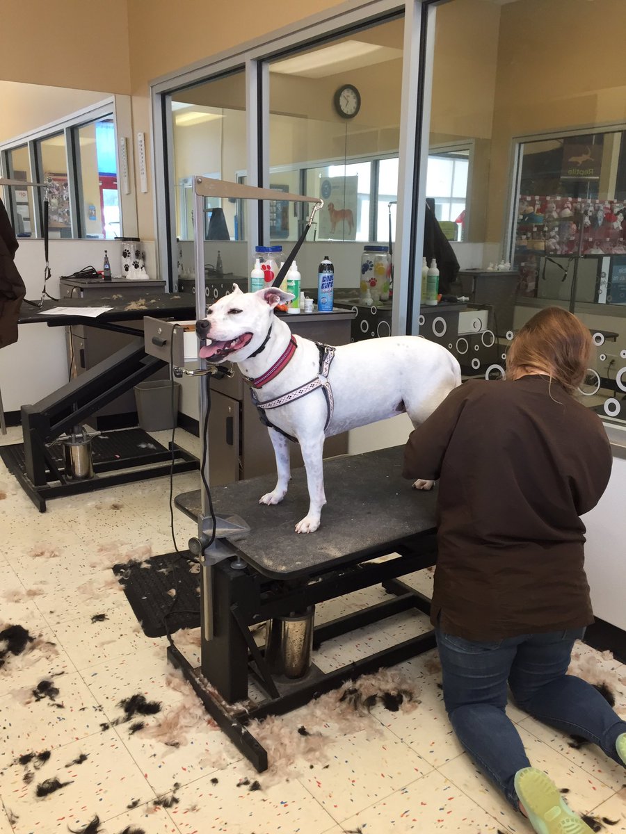 ELAWendling's tweet photo. Finally! @Petco https://t.co/CIrrS1j87I