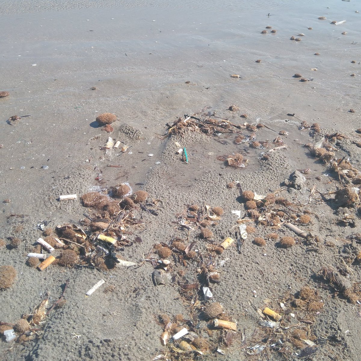 Clean_Beach_SP's tweet photo. Increíble las colillas que arrastra por calles el agua de lluvia hasta el mar . Cuida el mar teniendo limpia las calles. https://t.co/F3X8kbGLoa