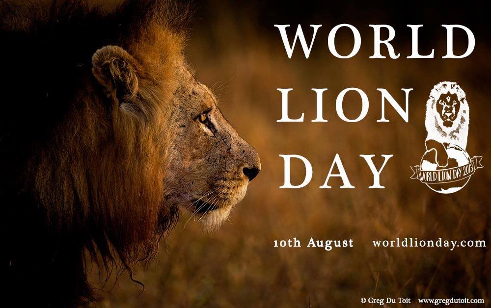 Лев даты 2024. Всемирный день Льва 10 августа. 10 Августа день Льва Всемирный Льва. День Львов 10 августа. Всемирный день Льва открытки.