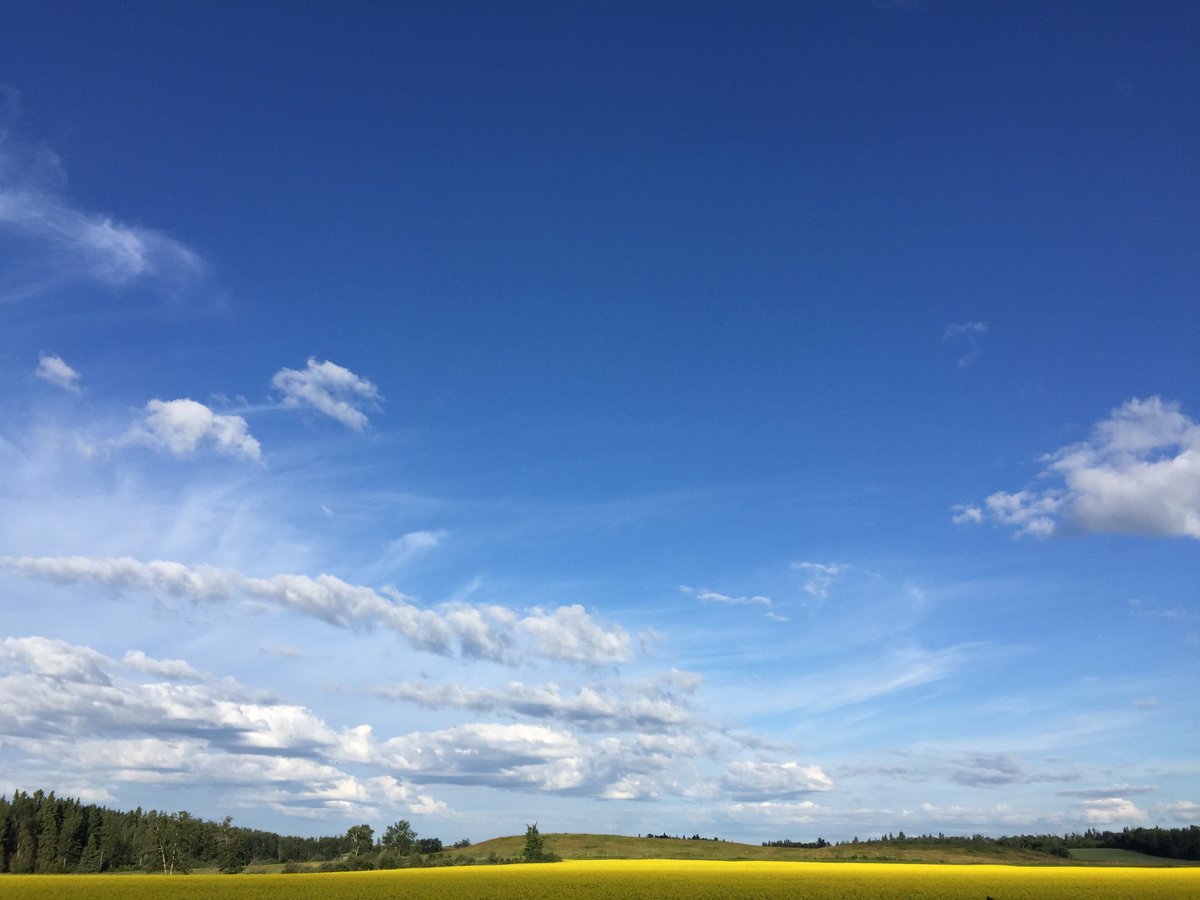 SturgeonCounty's tweet photo. How is your #2017crop doing? Share your #field / #livestock pic and we'll share w/ #sturgeoncounty! Tag @SturgeonFYI https://t.co/BUZd7ae9MV