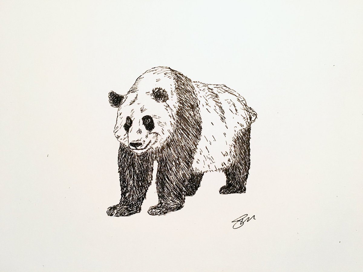 grantmathieson's tweet photo. And a Panda drawing #allpractice https://t.co/UWoSDUqn9x
