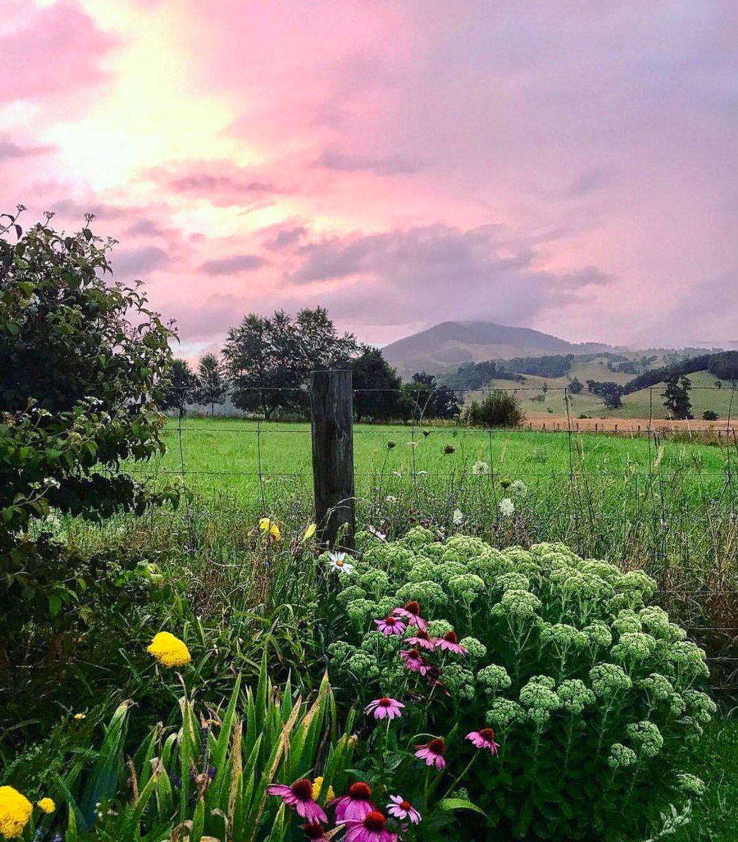 Home Sweet Home!💕 #swva #virginia #loveva <a href="/mySWVA/">Southwest Virginia</a> <a href="/SWVApost/">SWVApost</a> <a href="/VisitVirginia/">visitvirginia</a> <a href="/VirginiaLiving/">Virginia Living</a> <a href="/VirginiaRetweet/">Virginia Retweet</a>