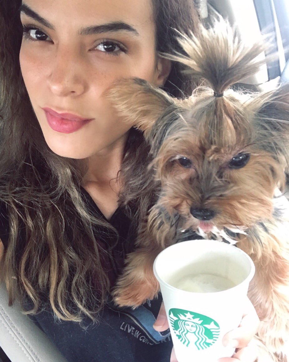 _zanndia's tweet image. Hoy cumple 11 años mi princesa y fuimos al @Starbucks por un #Puppuccino 🎉 #SpoiledDoggo 🐶👑💖