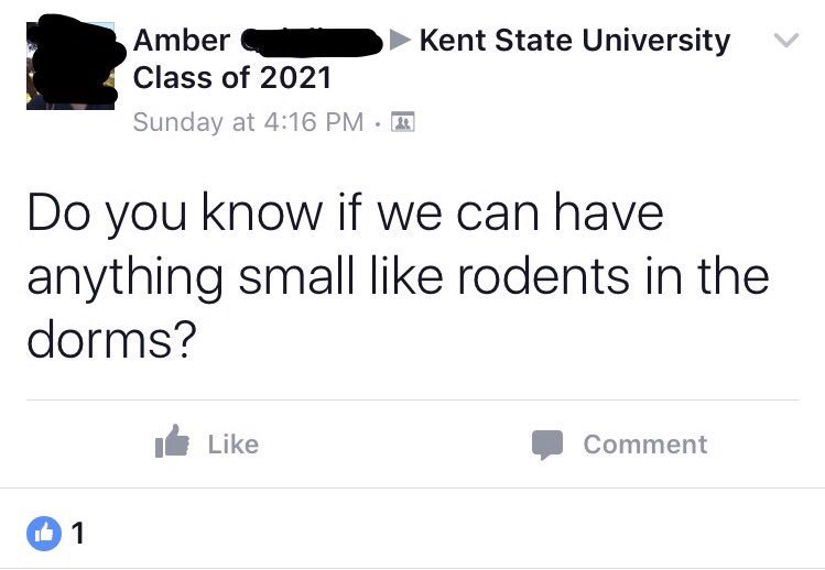 kbnoswag's tweet image. Another year of pretending to be an RA in the freshmen Facebook groups