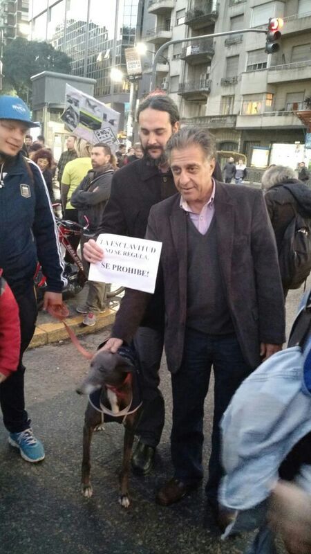 MariaMa73772997's tweet photo. @nestorpitrola los galguero no nos olvidamos esta domingo se van a dar cuenta basta de discriminar galgueros con memoria https://t.co/H2hoa5lOTG