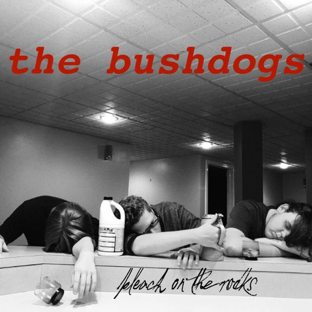 TheBushDogs's tweet image. Check out the Bushdogs ep:
bushdogs.bandcamp.com