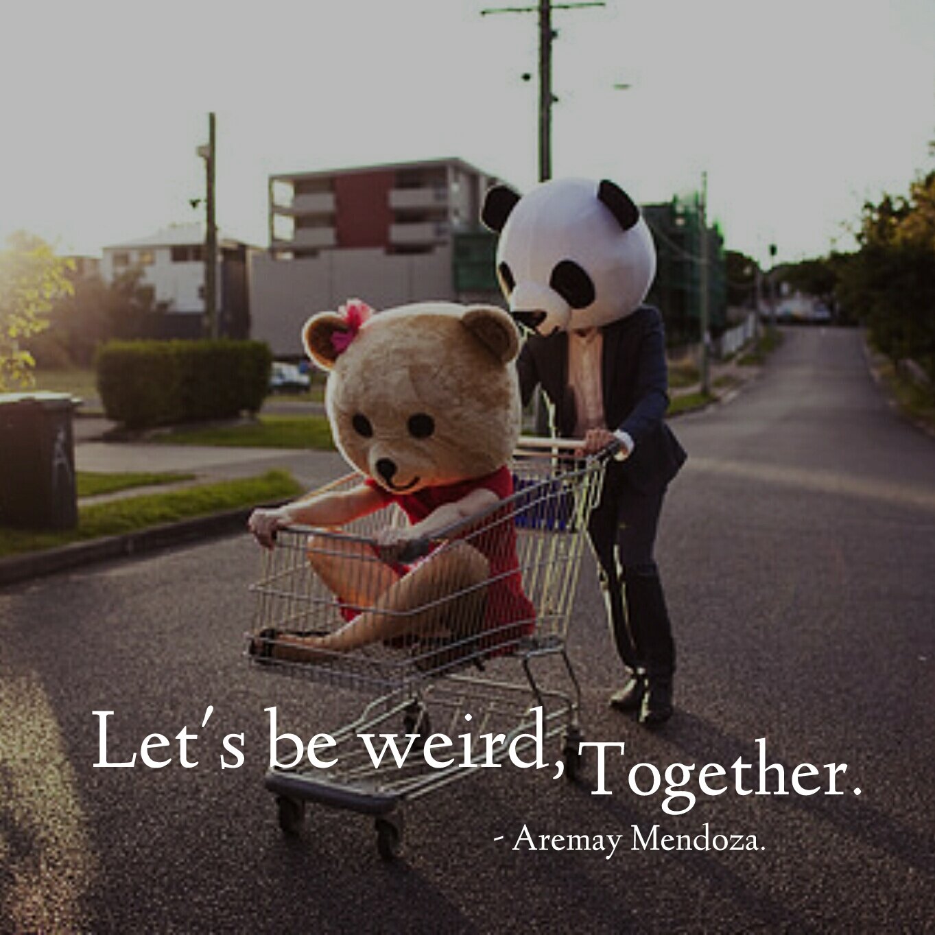 Lets Be Weird Together Bears