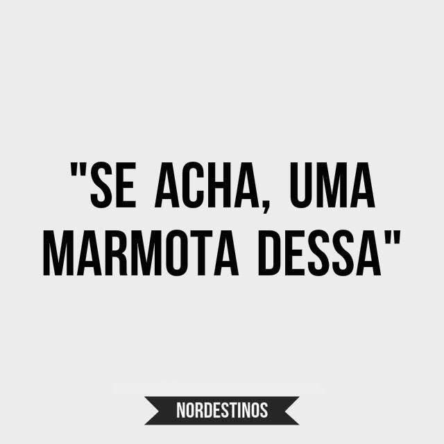 n0rdestinos's tweet photo. Eu gosto é de mangar https://t.co/VdQzjqNkvr