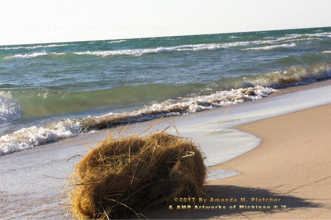 AMPartworksofMI's tweet photo. #ThursdayThoughts #Muskegon #Natural #Beauty #Lighthouses #LakeMichigan #LakeshoreLife #ampartworksofmi #Michigan #Photography #AMPmiUP โ๏ธโต๏ธ https://t.co/THZ9HMErxr