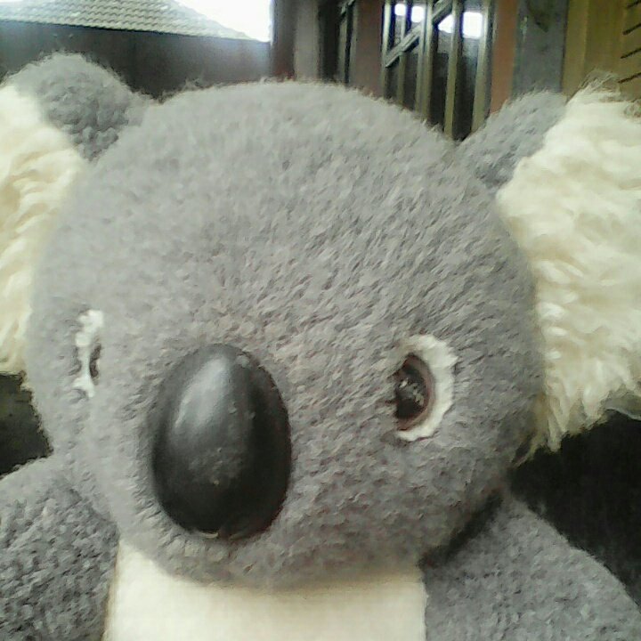 Kiano Abrizam tweet media