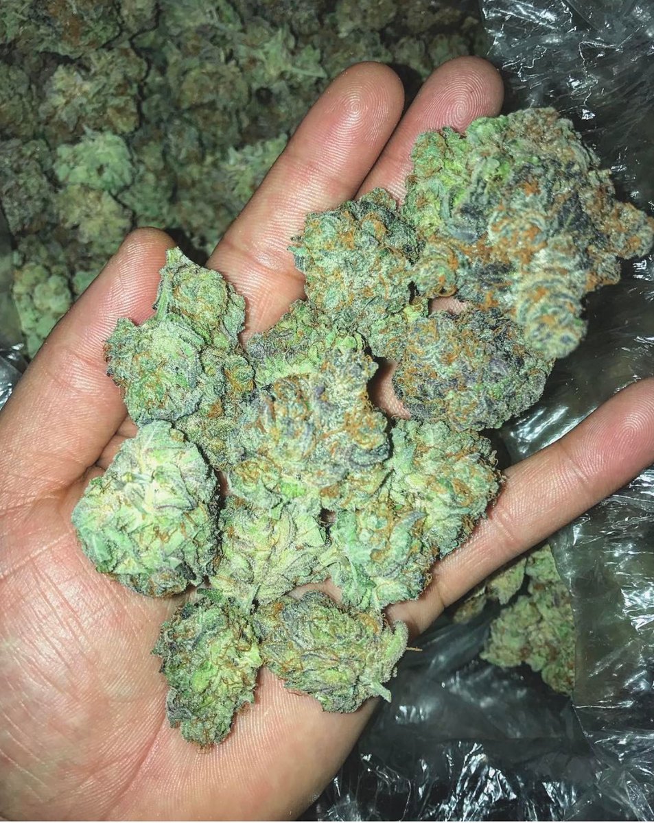 ParisDFarms tweet picture