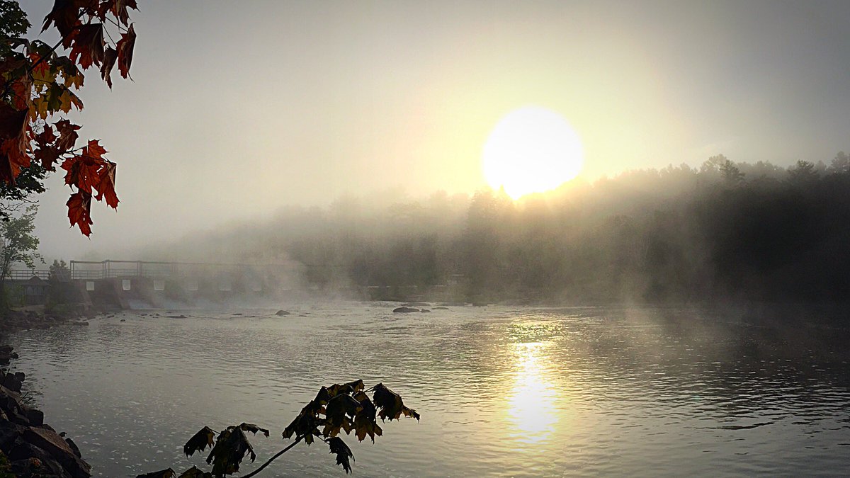 MandarinClinic's tweet photo. Summer@cottage https://t.co/yWa9AF3Fje