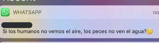 ElMakiaDice's tweet photo. "Hoy voy a dormir temprano"

A las 3:00 am. https://t.co/Y3yB2xbPMf