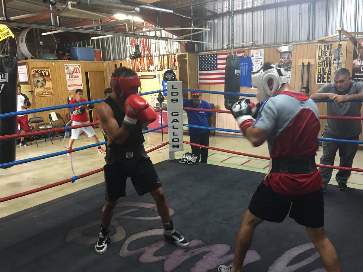 UndercardBoxing's tweet photo. David "Norteno" Fabela getting sparring in as he prepares for August 19 in Dallas Texas #AKnockoutAffair #RoundXXV #XXV #BoxingUndercard https://t.co/MM2xX5lA3k