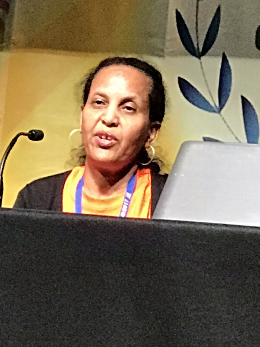 Ghidewon's tweet photo. #EHVI secretary, Yordanos Abraha, from Alberta, Canada explaining the challenges visually impaired citizens face at the #YPFDJConference2017 https://t.co/6LI7nc9sfE