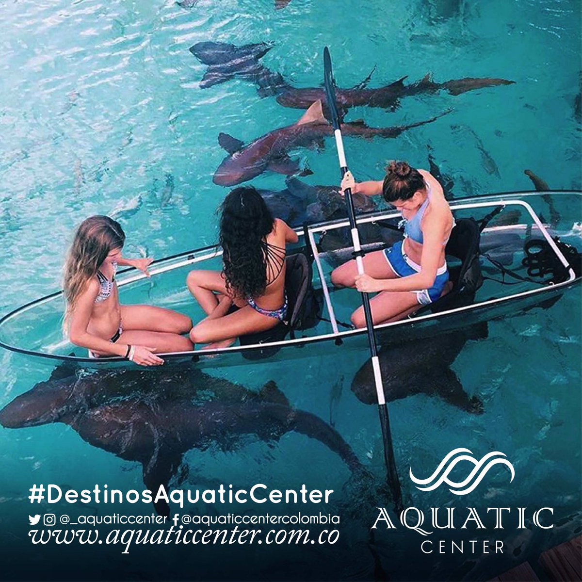 _AquaticCenter's tweet photo. #DestinosAquaticCenter 🌏
#Bahamas 🦈
.
.
.
#lugaresunicos #lugaresasombrosos #dondeir #vacaciones #viajesoñado #travel #beautifulplaces https://t.co/VJ8biwrzts