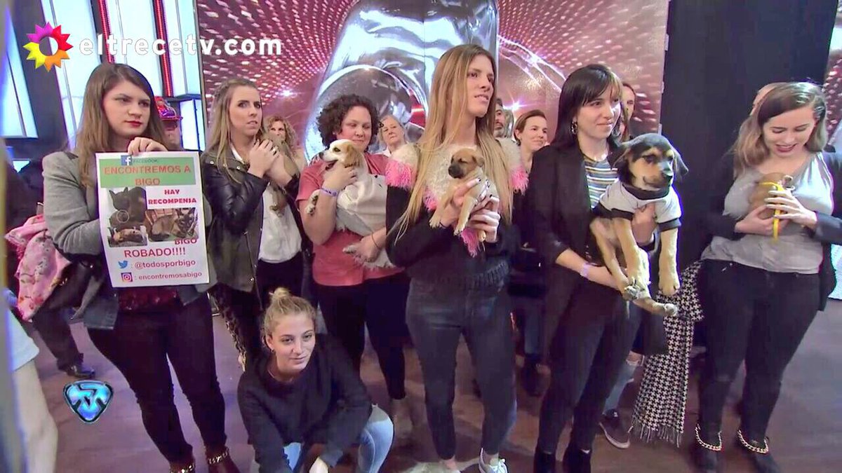 TodosporBigo's tweet photo. El 4/08 fuimos a #ShowMatch2017 a difundir la busqueda de Bigo junto al @ZaguatesRefugio q representa @Mel_Lezcano. IMPORTANTE RECOMPENSA!!! https://t.co/FDHnpzUpwo