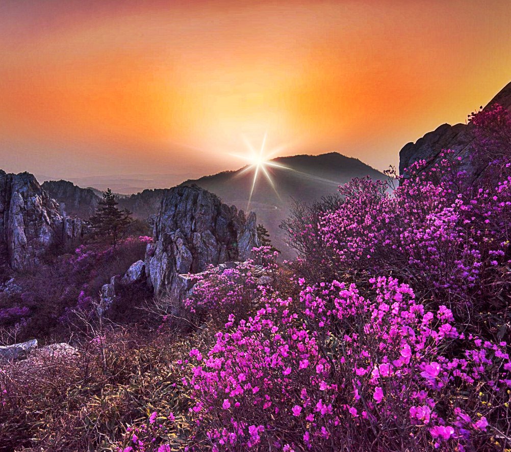 Twittblaster's tweet photo. It's difficult to know the depth
of a person's soul until either a
good deed or deceit reveals
his true self.
#Twittblaster #DepthOfSoul https://t.co/bmqisu72cP