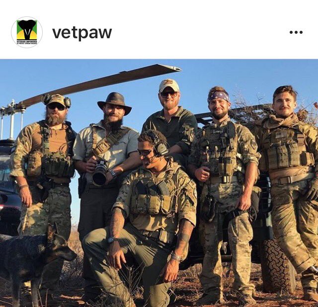 VetPaw Reviews