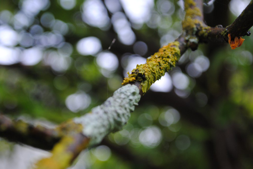 ifstrategy's tweet image. Why we need wonder loremakers.com.au/2017/08/11/why…