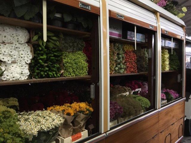 VGBBloemenPlant tweet picture